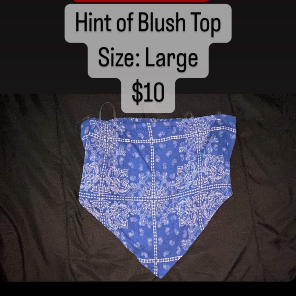 Hint of blush top, Size: Large